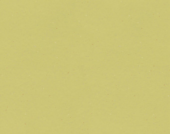 [1001111112_23] Surestep original - 172442 hay